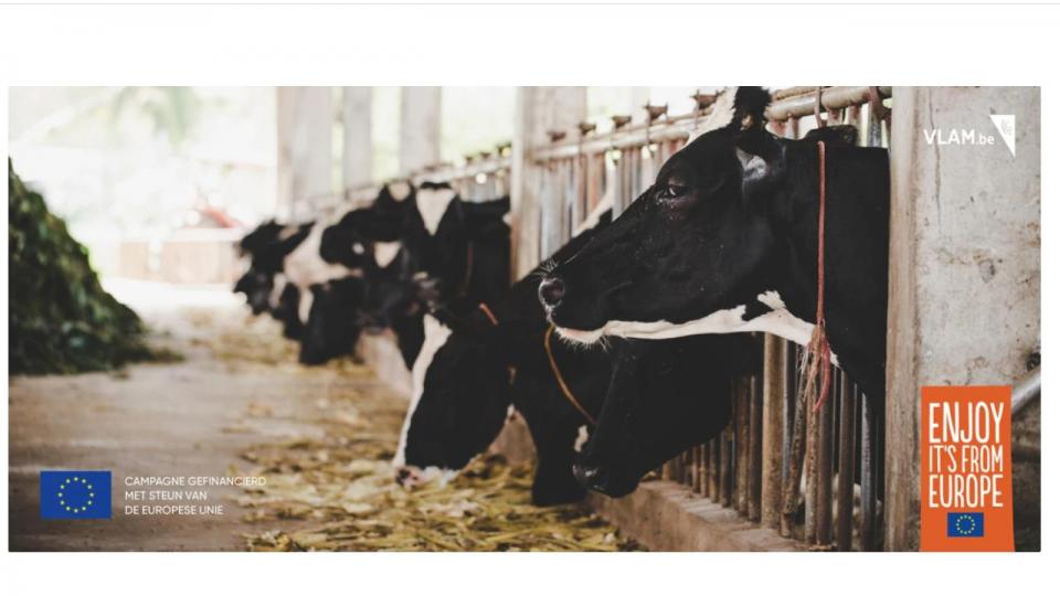 Duurzame toekomst voor de melkveehouderij